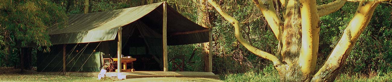 Siana Springs Tented Camp